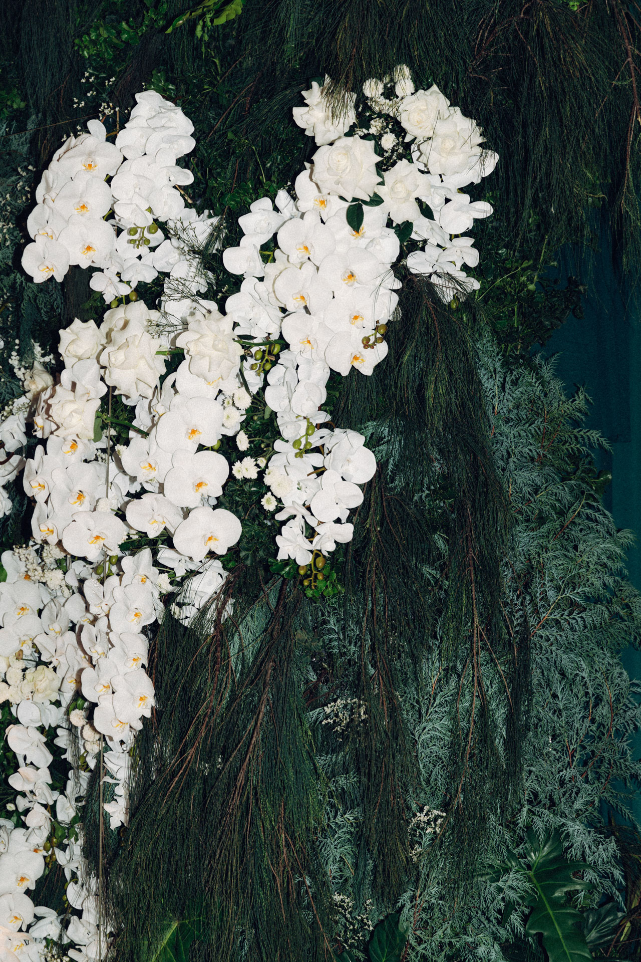 Nwcandidone (0012 of 1242).jpg